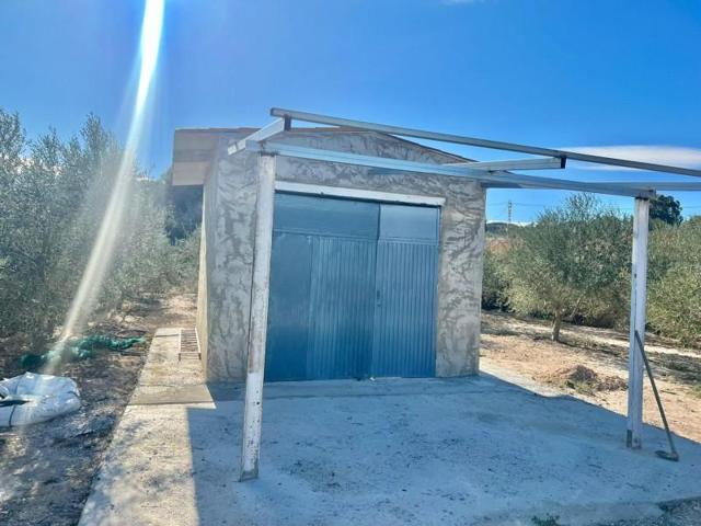 Casa en venta en Aspe, El rabosero photo 0