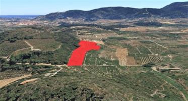 Terreno en venta en Villalonga, La Safor-Villalonga photo 0