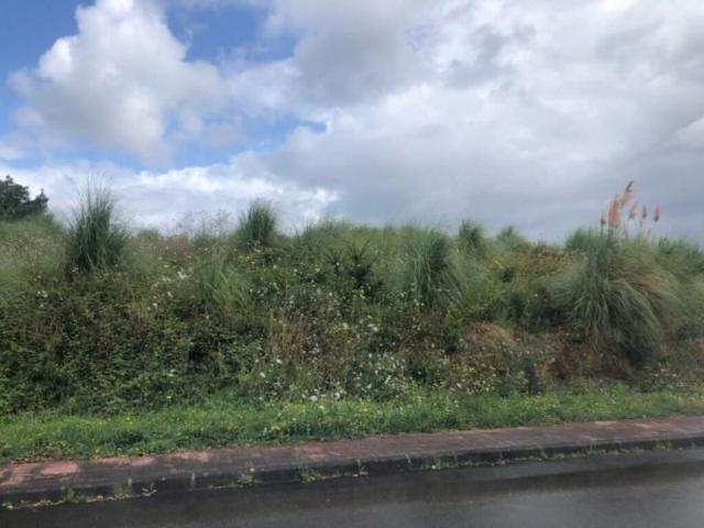 Terreno en venta en Ribamontán al Monte photo 0