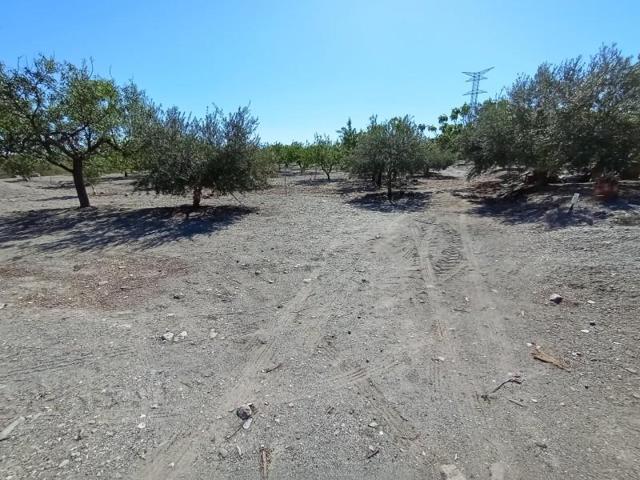Terreno en venta en Puerto Lumbreras, Cabezo del trigo photo 0