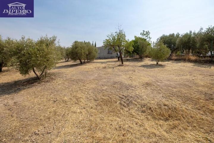 Chalet en venta en Moraleda de Zafayona, LOS TABLAZOS photo 0