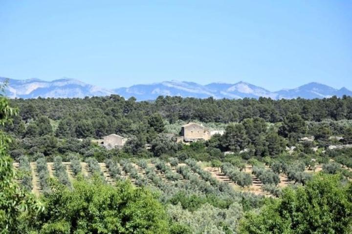 Chalet en venta en Cretas, Aragon photo 0