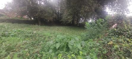 Terreno en venta en Santiago de Compostela photo 0