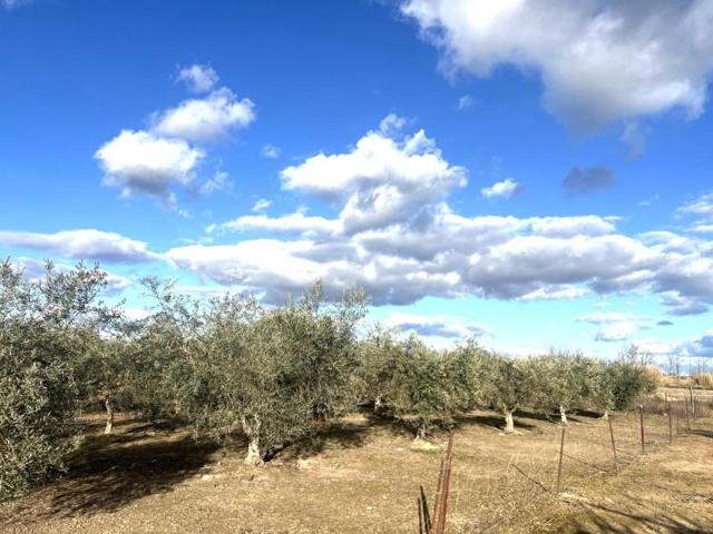 Chalet en venta en Don Benito, Las Arenas photo 0