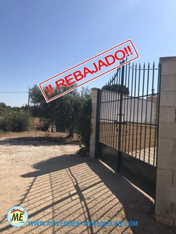 Chalet en venta en Marchena, Marchena photo 0