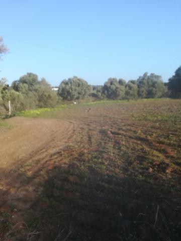 Terreno en venta en Vejer de la Frontera, LA MUELA photo 0