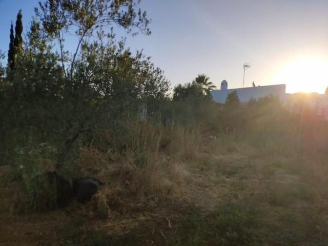 Chalet en venta en Marchena, Venta El Monje photo 0