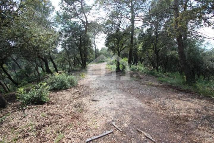 Terreno en venta en Vacarisses, ELS CAUS photo 0