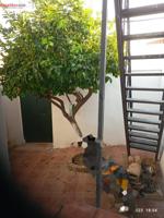 Casa en venta en Villaharta, Villaharta photo 0