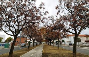 Terreno en venta en Utrera, Los Ruedos De Consolacion photo 0