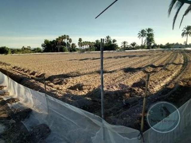 Terreno en venta en Elche photo 0