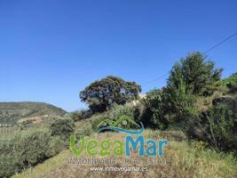 Terreno en venta en Almuñécar, Camino de Río Seco, 18690 photo 0