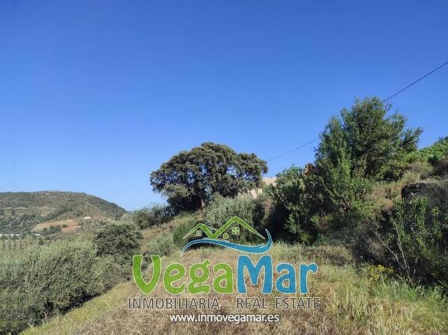 Terreno en venta en Almuñécar, Camino de Río Seco, 18690 photo 0