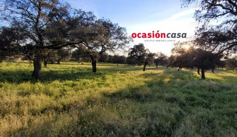 Chalet en venta en Pozoblanco, Avenida Villanueva de Córdoba photo 0