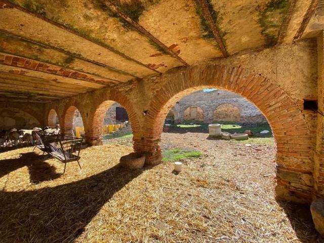 Terreno en venta en Casar de Cáceres, Casar de Cáceres photo 0