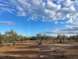 Chalet en venta en L'Ampolla photo 0