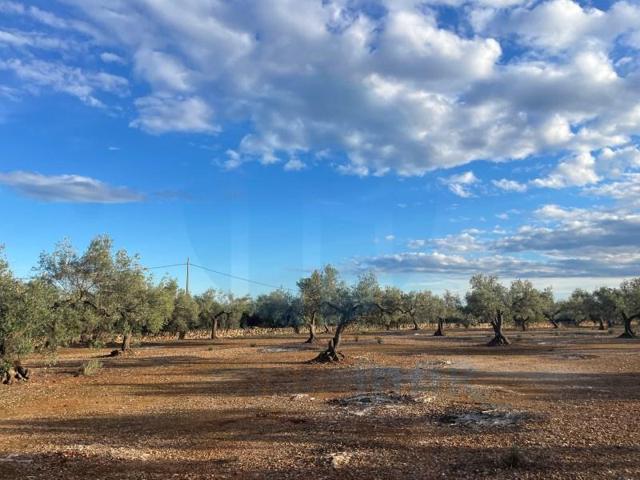 Chalet en venta en L'Ampolla photo 0