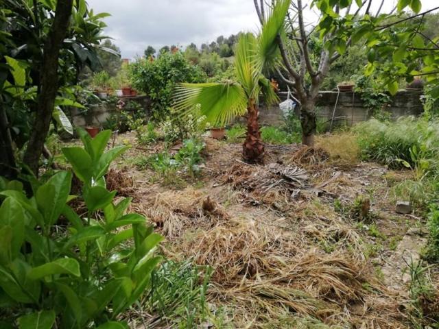 Terreno en venta en Esparreguera, CAN RIAL photo 0