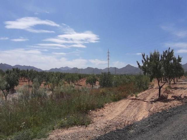 Terreno en venta en Fuente Álamo de Murcia, La Pinilla - Las Palas photo 0