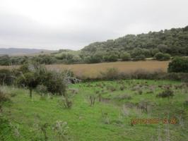 Terreno en venta en Vejer de la Frontera, Paternilla photo 0