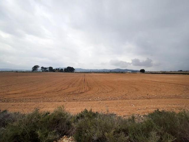 Chalet en venta en Novelda, Ctra novelda - la romana photo 0