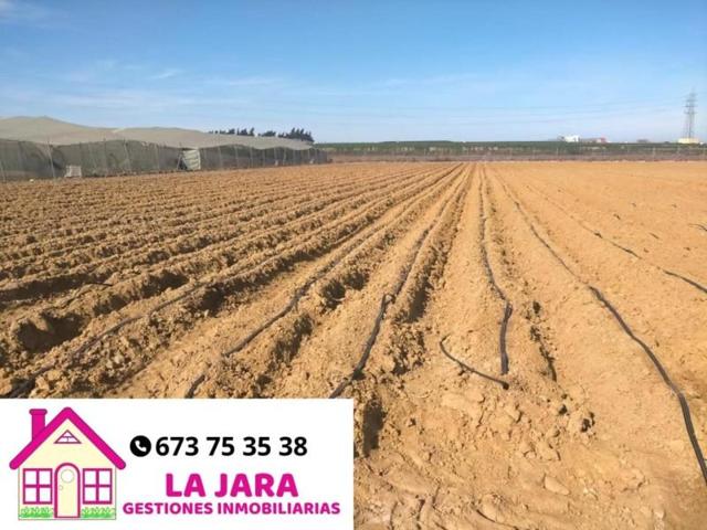 Terreno en venta en Chipiona, La Loma Baja, 11550 photo 0