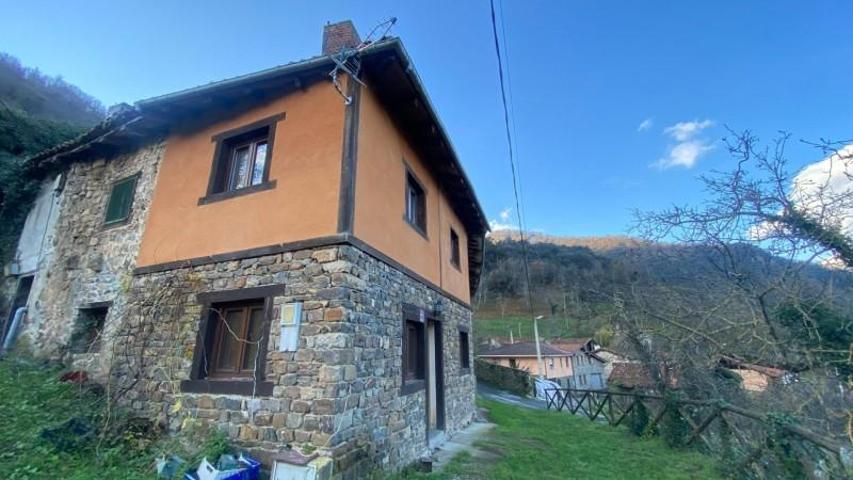 Casa con terreno en venta en Pesaguero, Picos de europa photo 0