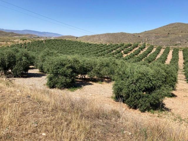 Terreno en venta en Sorbas, Sorbas photo 0