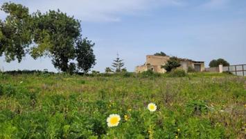 Terreno en venta en Manacor, Manacor photo 0