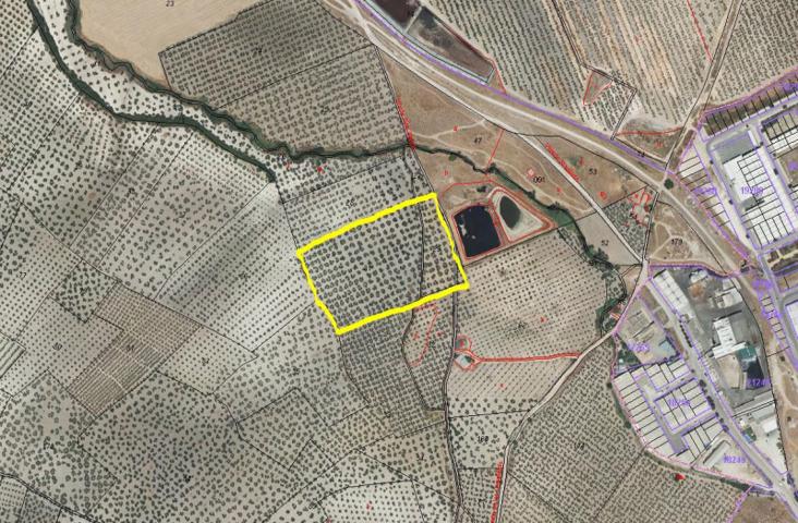 Terreno en venta en Morón de la Frontera, Moron De la Frontera photo 0