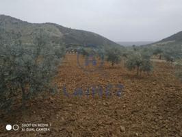 Terreno en venta en El Hoyo, Belmez, El Hoyo photo 0