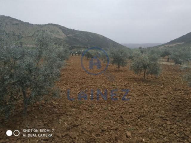 Terreno en venta en El Hoyo, Belmez, El Hoyo photo 0