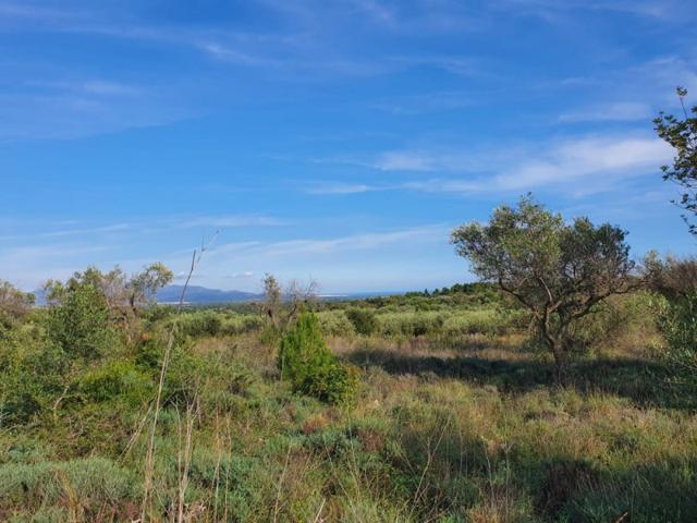 Chalet en venta en Sant Jordi, Área de San Jorge photo 0