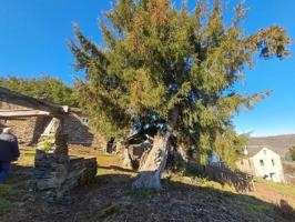 Casa en venta en Fonsagrada, A fonsagrada photo 0