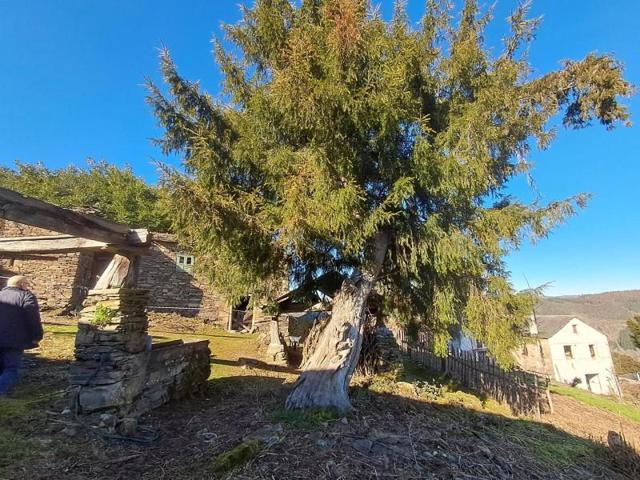 Casa en venta en Fonsagrada, A fonsagrada photo 0