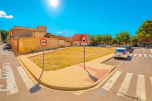 Terreno en venta en Algemesí, El carrascalet photo 0