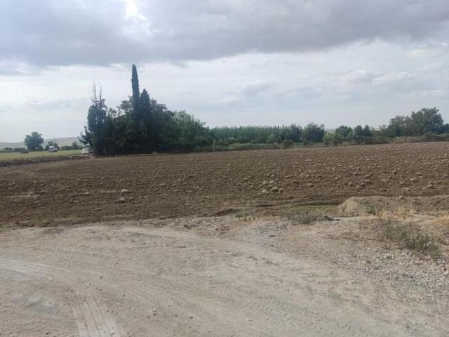 Terreno en venta en Santa Fe, Polígono industrial 2 de octubre photo 0