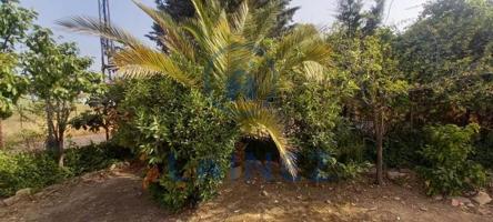 Terreno en venta en Bélmez, Belmez photo 0