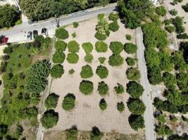 Terreno en venta en Murcia, La Raya photo 0