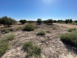 Terreno en venta en Mazarrón, Camposol photo 0