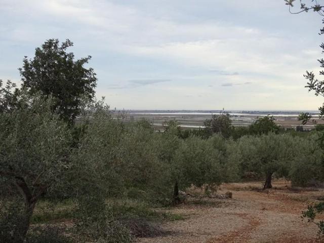 Chalet en venta en Sant Carles de la Ràpita, Sant Carles de la Ràpita photo 0