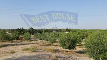 Terreno en venta en Las Torres de Cotillas, Las torres de cotillas photo 0