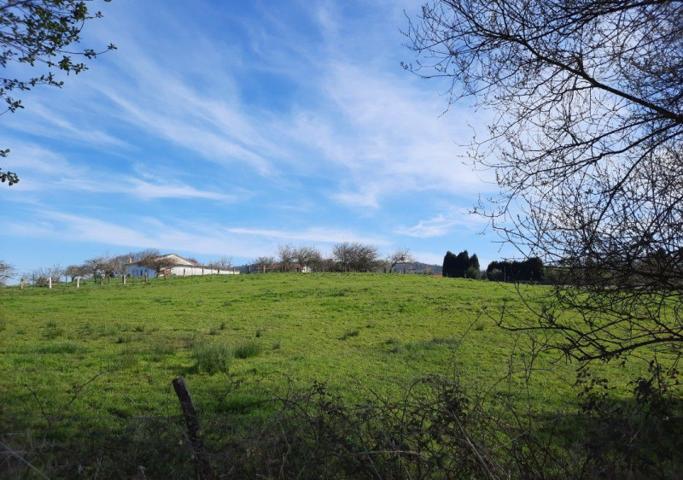 Terreno en venta en Villaviciosa, Venta las Ranas photo 0