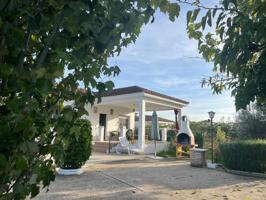 Casa con terreno en venta en El Carpio, Maruanas photo 0