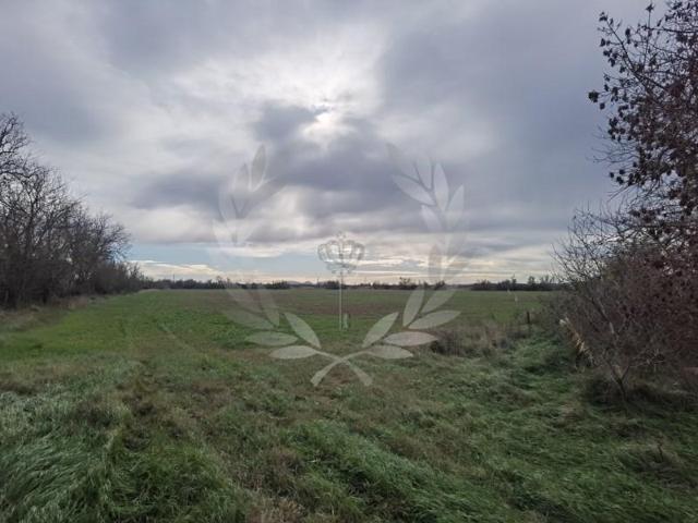 Terreno en venta en Castelló d'Empúries photo 0