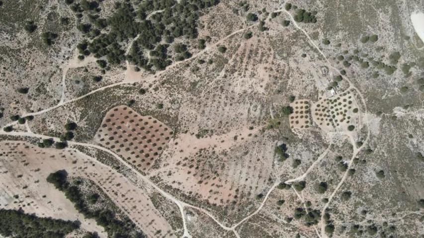 Terreno en venta en Castalla, Castalla Internacional photo 0