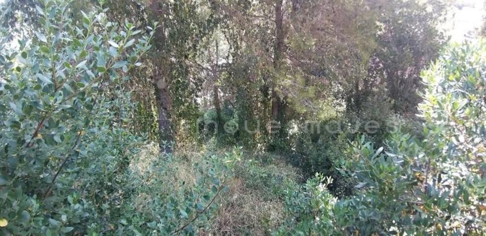 Terreno en venta en Vacarisses, Vallès Occidental photo 0