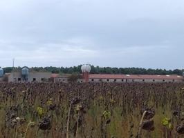 Nave industrial en venta en Fuentepelayo, Fuentepelayo photo 0