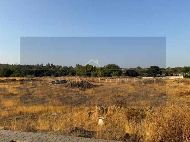 Terreno en venta en Alcalá de Guadaira photo 0