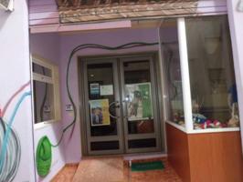 Local comercial en venta en El Ejido, Pabellon photo 0